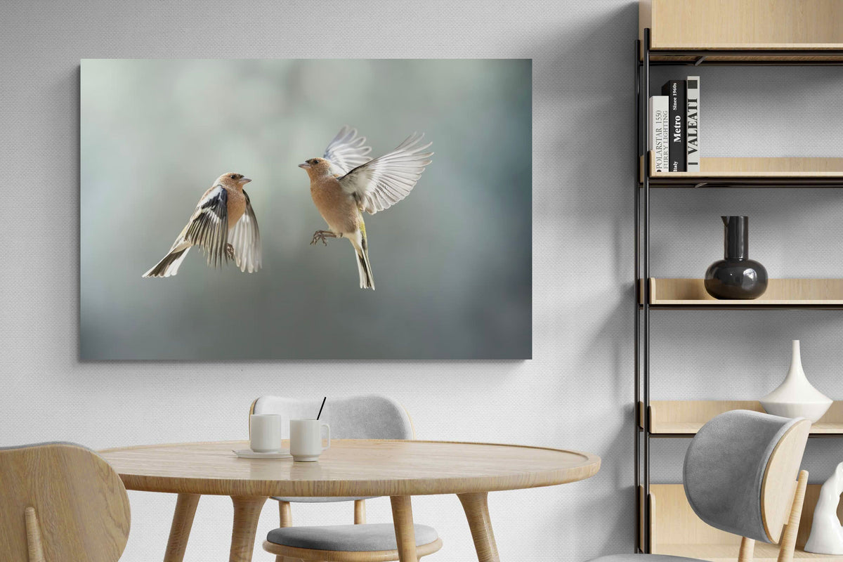 Pixalot ® Finches in Flight
