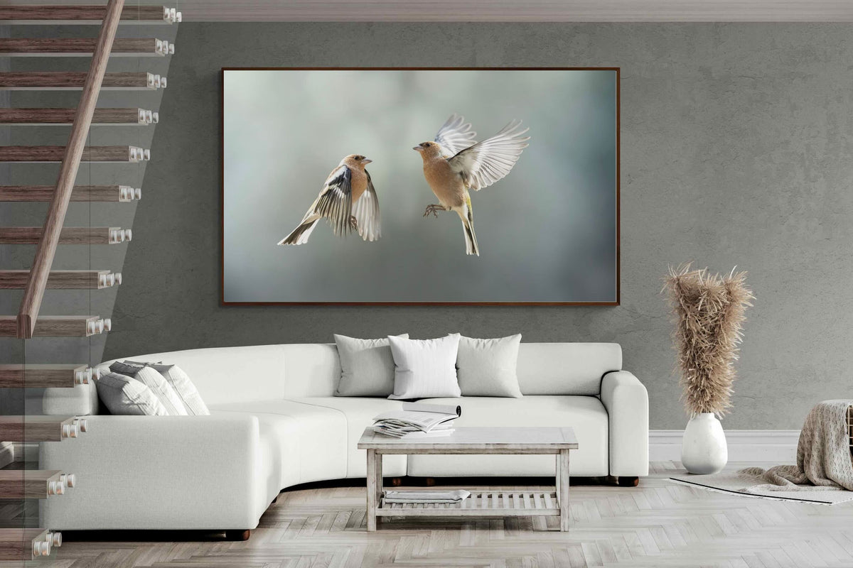 Pixalot ® Finches in Flight