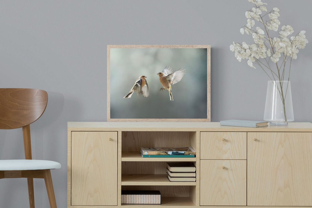 Pixalot ® Finches in Flight