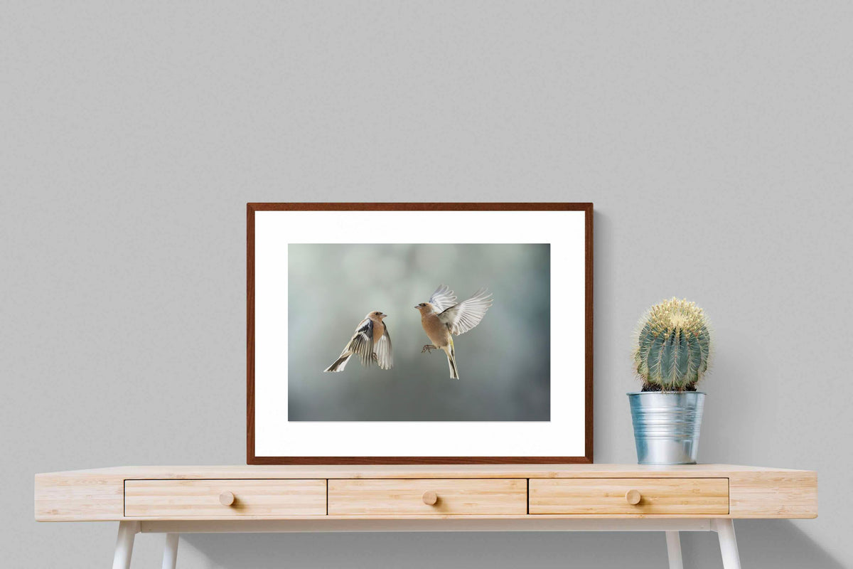 Pixalot ® Finches in Flight