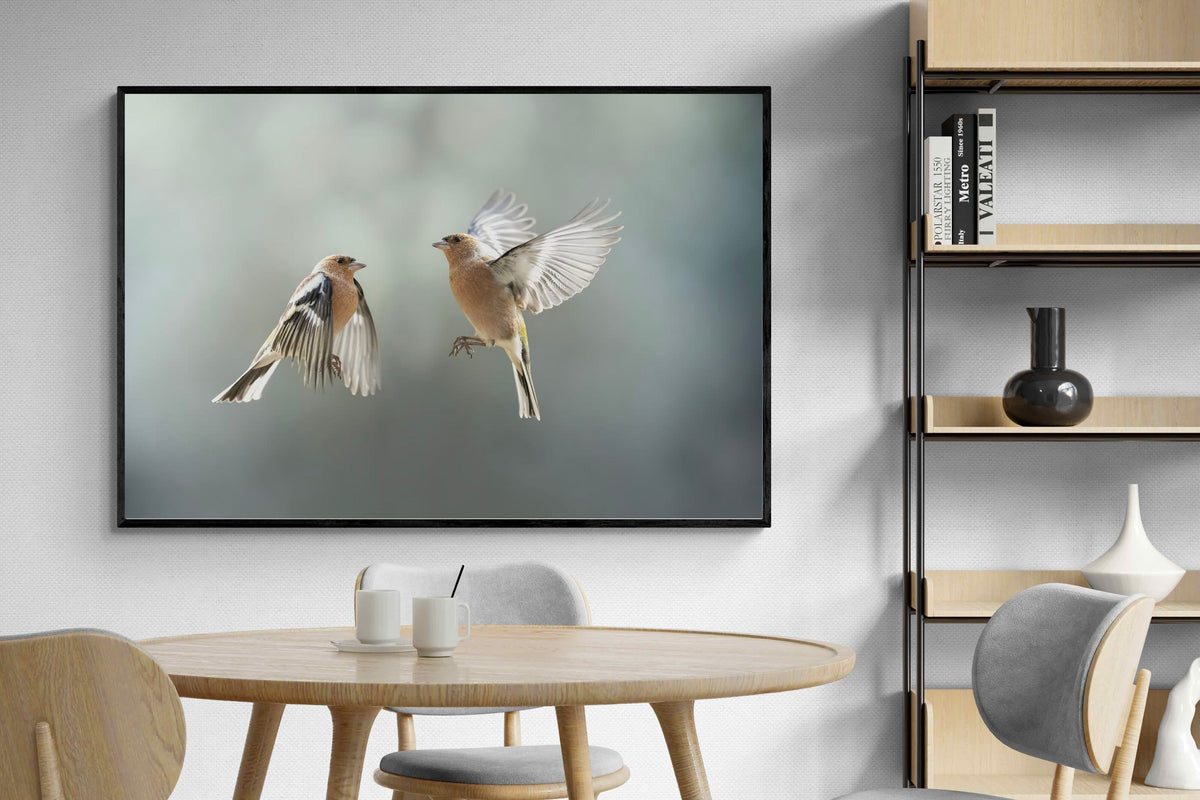 Pixalot ® Finches in Flight