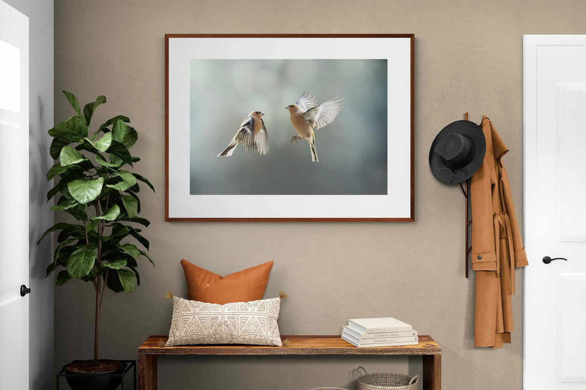 Pixalot ® Finches in Flight