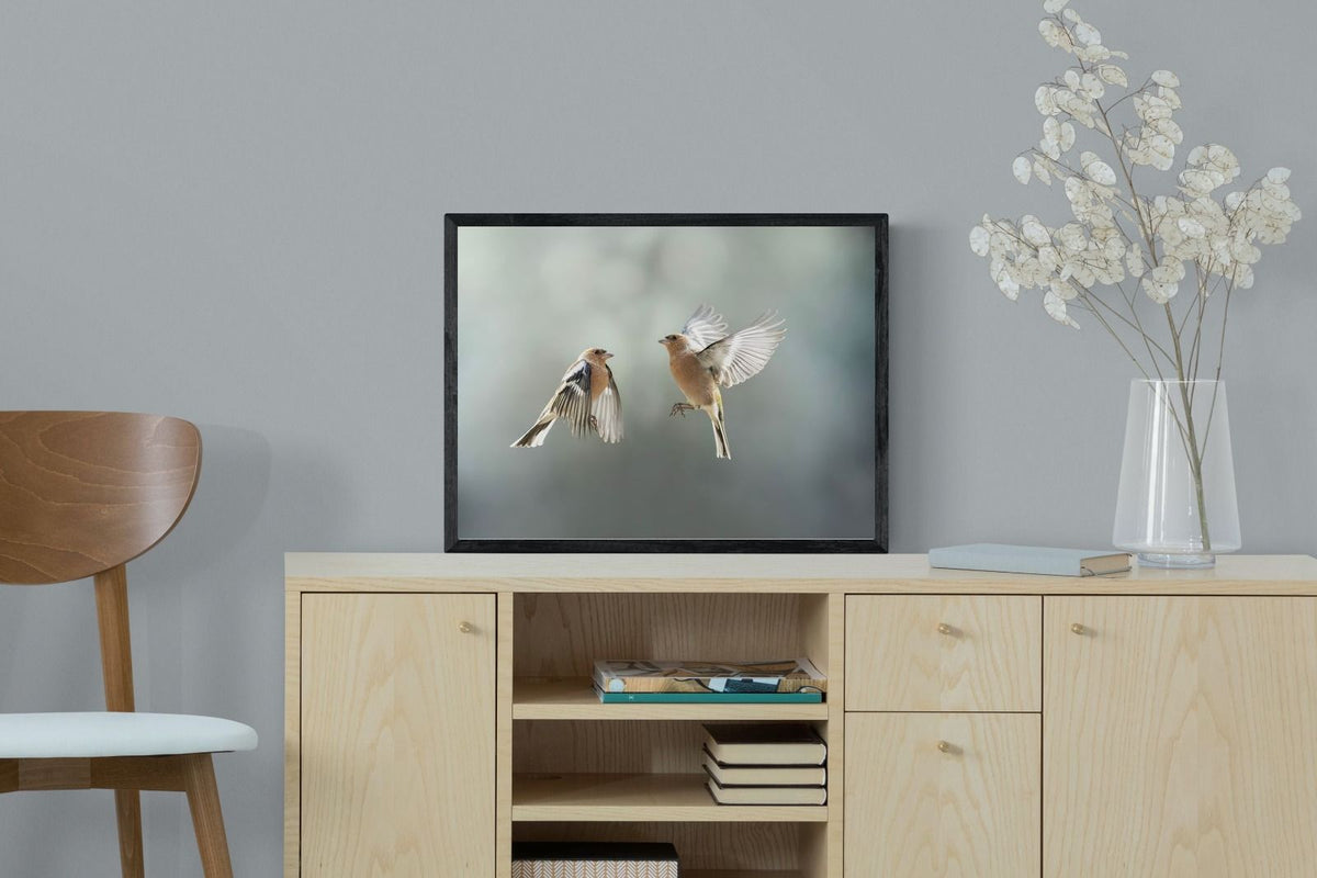 Pixalot ® Finches in Flight