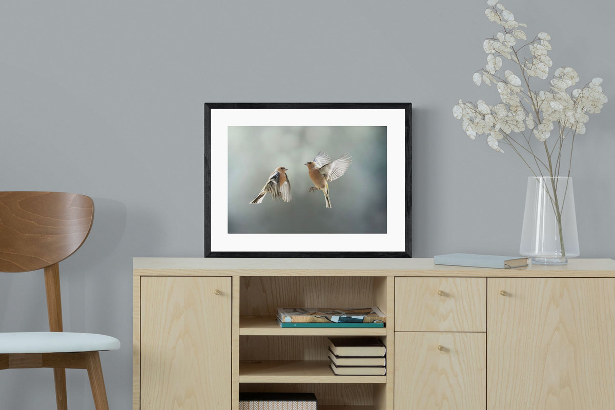 Pixalot ® Finches in Flight