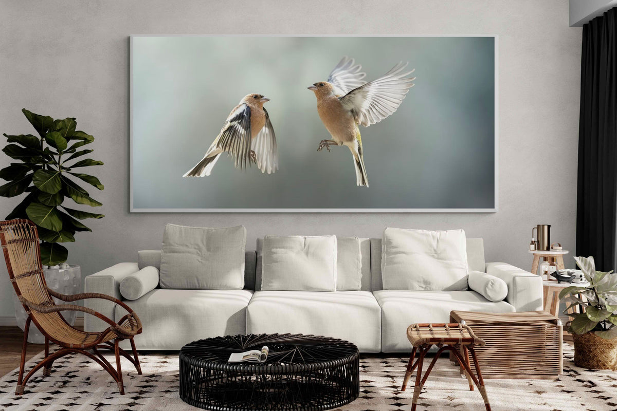 Pixalot ® Finches in Flight