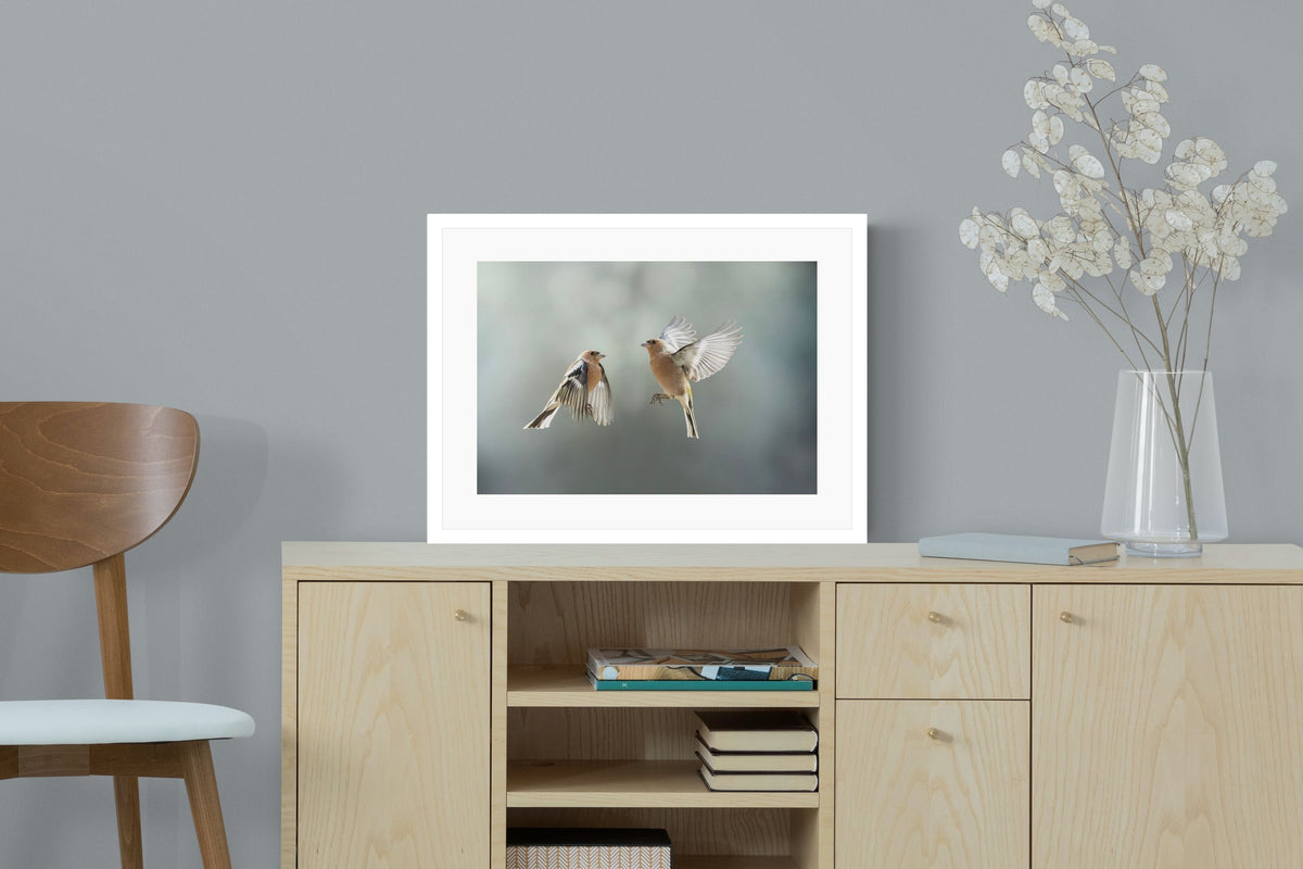 Pixalot ® Finches in Flight