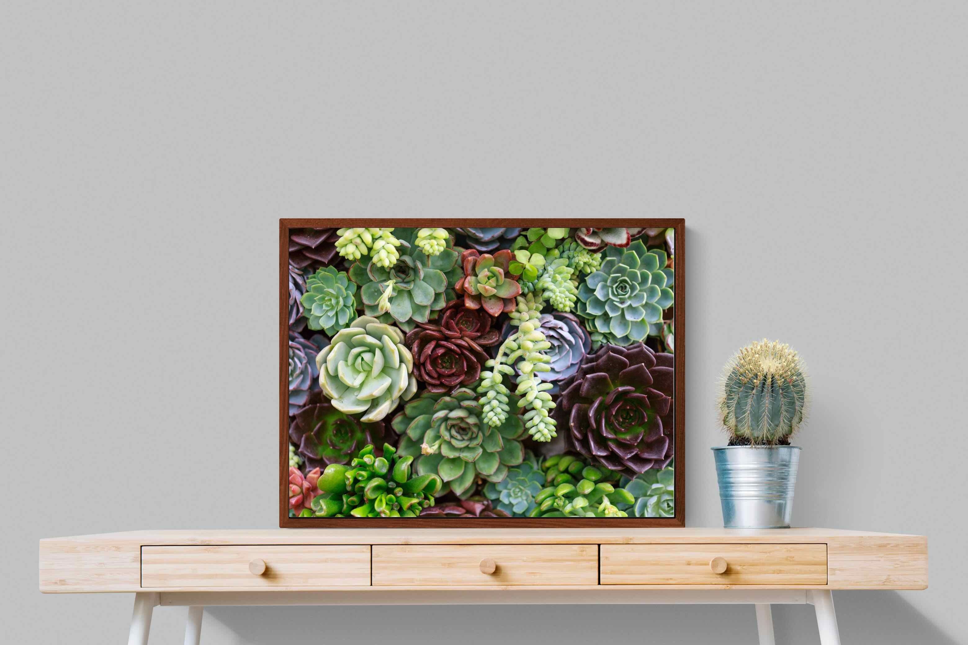 Pixalot ® Foliage