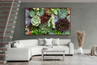 Pixalot ® Foliage