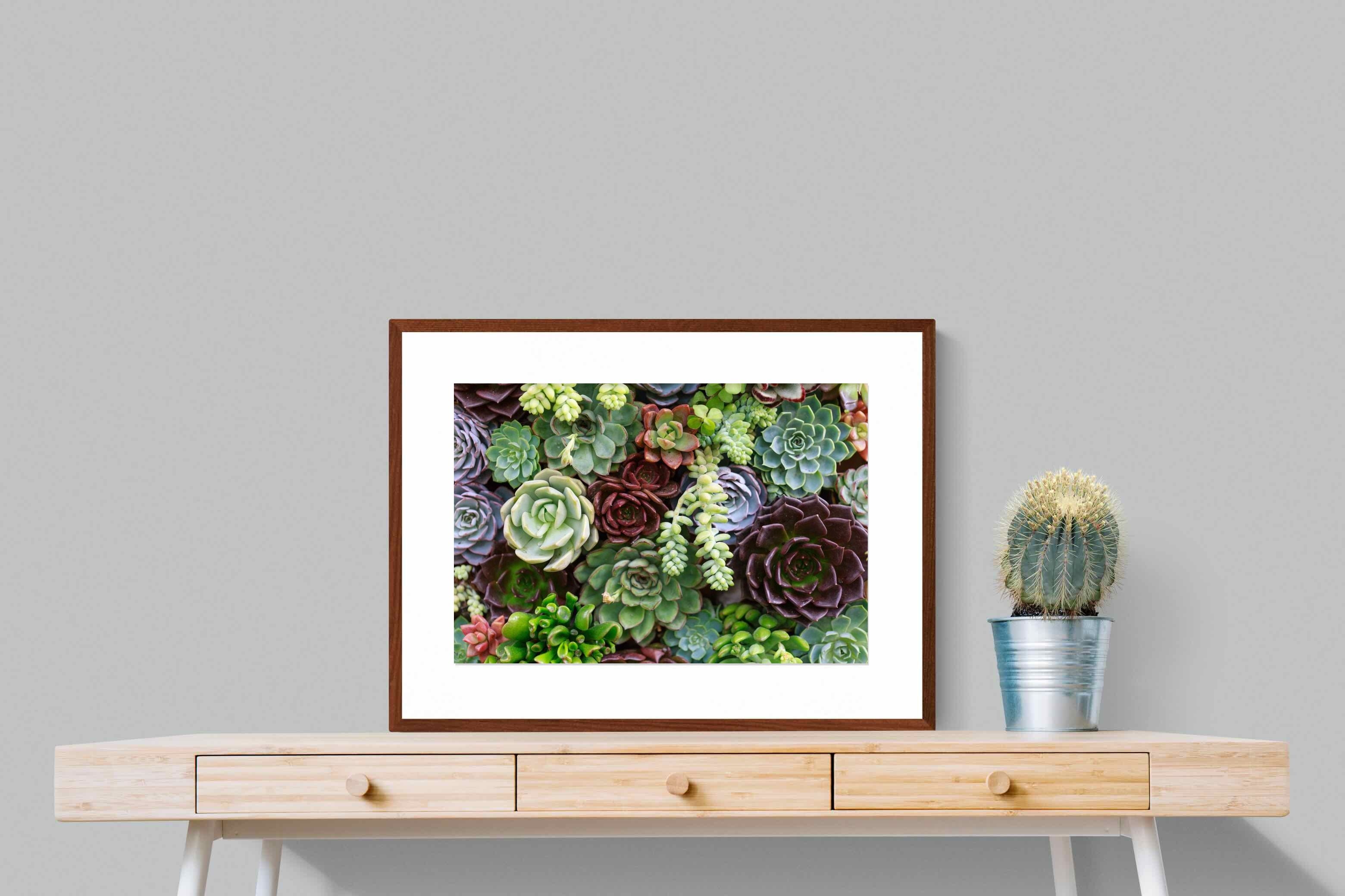 Pixalot ® Foliage