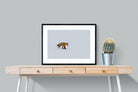 Pixalot ® Fox