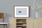 Pixalot ® Fox
