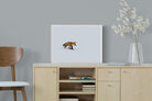 Pixalot ® Fox