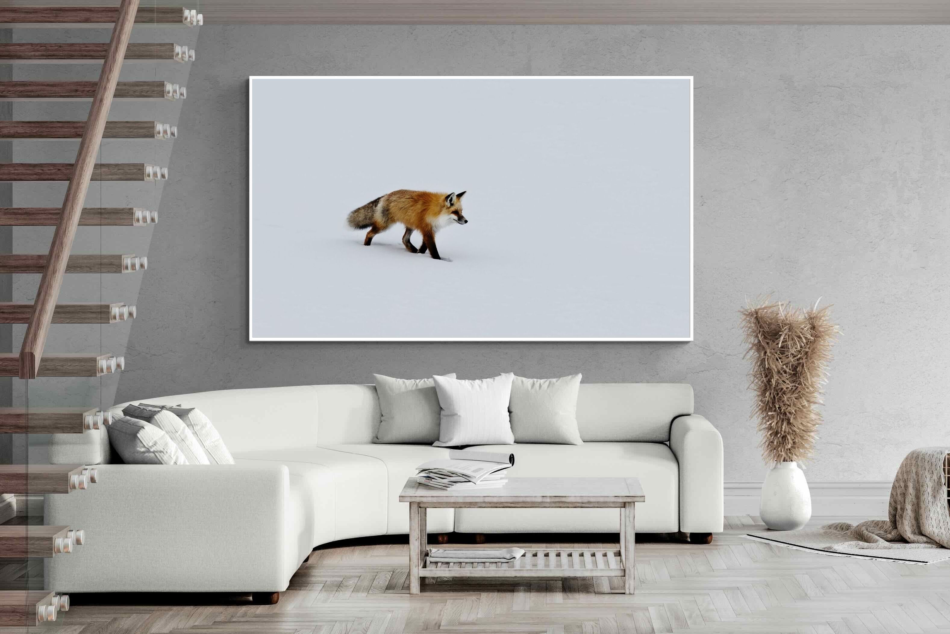 Pixalot ® Fox