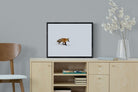 Pixalot ® Fox