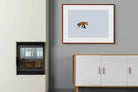 Pixalot ® Fox