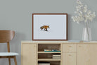 Pixalot ® Fox