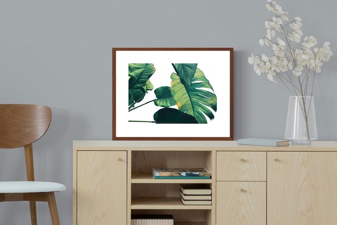 Pixalot ® Frond & Light