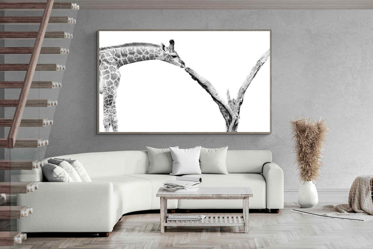 Pixalot ® Giraffe Study