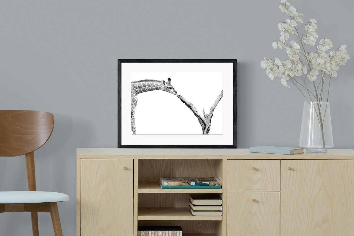 Pixalot ® Giraffe Study