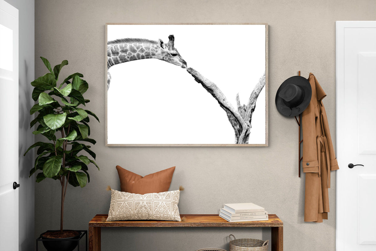 Pixalot ® Giraffe Study