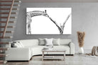 Pixalot ® Giraffe Study