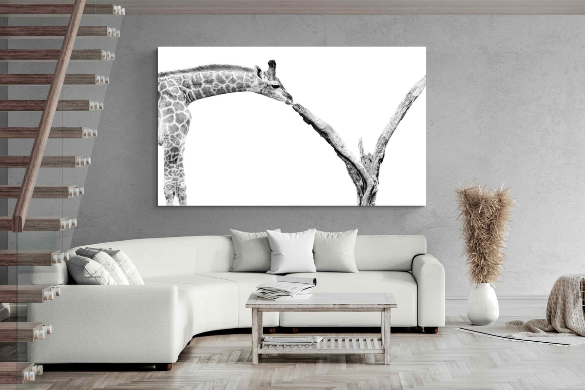 Pixalot ® Giraffe Study