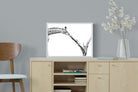 Pixalot ® Giraffe Study