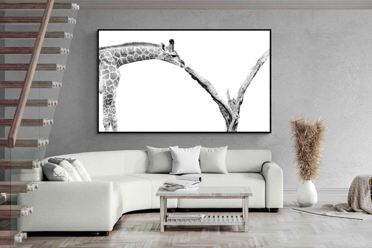 Pixalot ® Giraffe Study