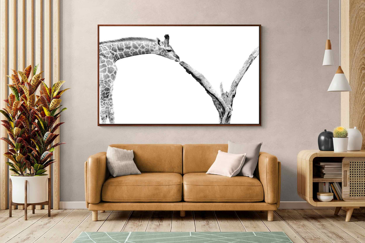 Pixalot ® Giraffe Study