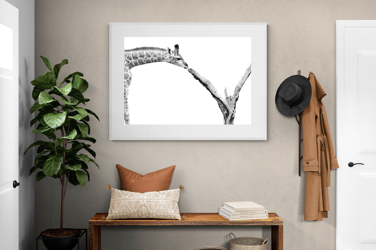 Pixalot ® Giraffe Study