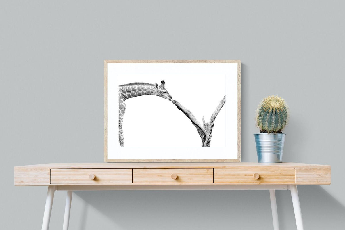 Pixalot ® Giraffe Study