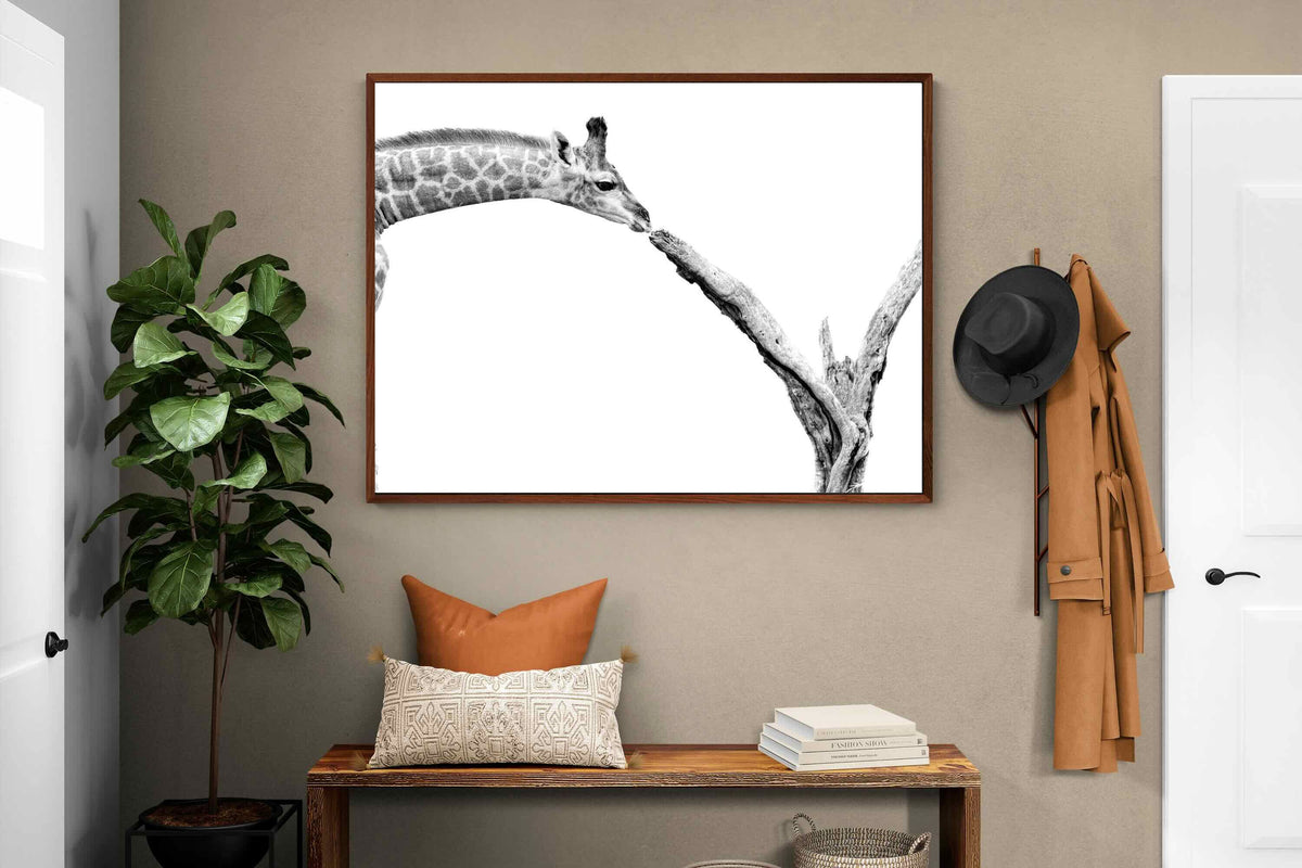 Pixalot ® Giraffe Study