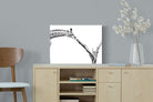 Pixalot ® Giraffe Study