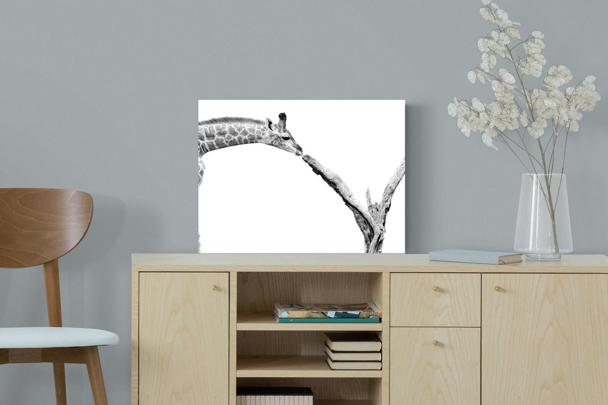 Pixalot ® Giraffe Study