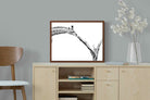 Pixalot ® Giraffe Study