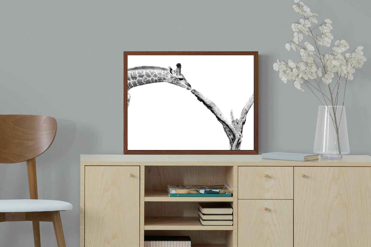 Pixalot ® Giraffe Study