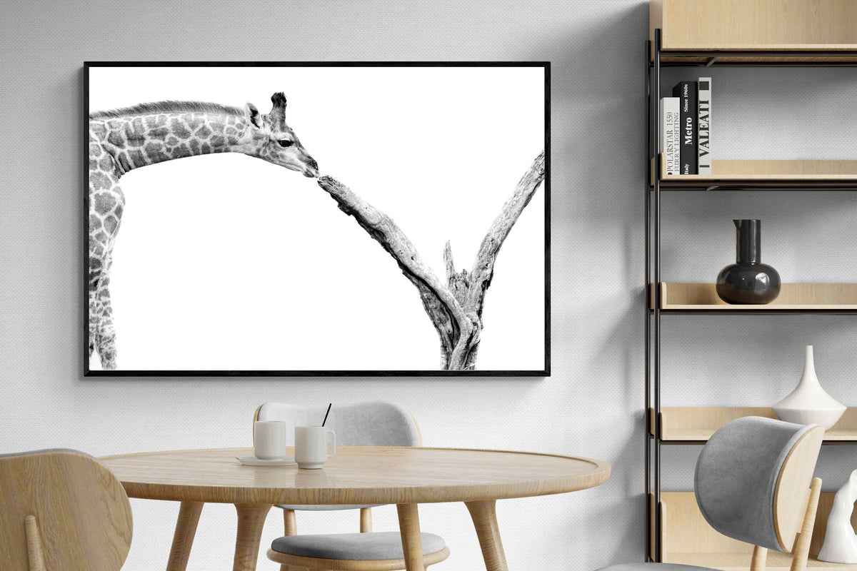 Pixalot ® Giraffe Study