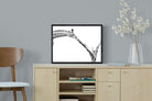 Pixalot ® Giraffe Study
