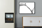 Pixalot ® Giraffe Study