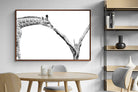 Pixalot ® Giraffe Study