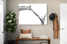 Pixalot ® Giraffe Study