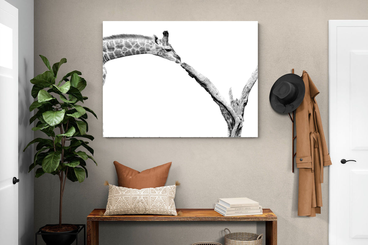 Pixalot ® Giraffe Study