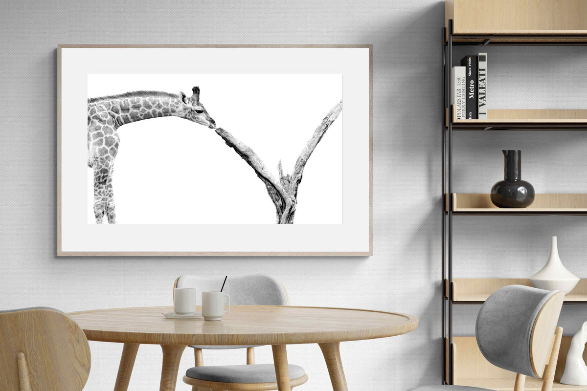 Pixalot ® Giraffe Study
