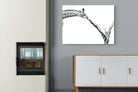 Pixalot ® Giraffe Study