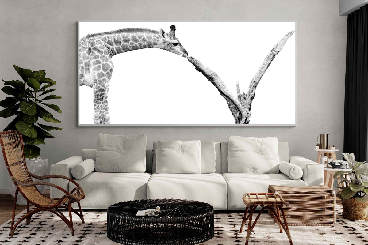 Pixalot ® Giraffe Study