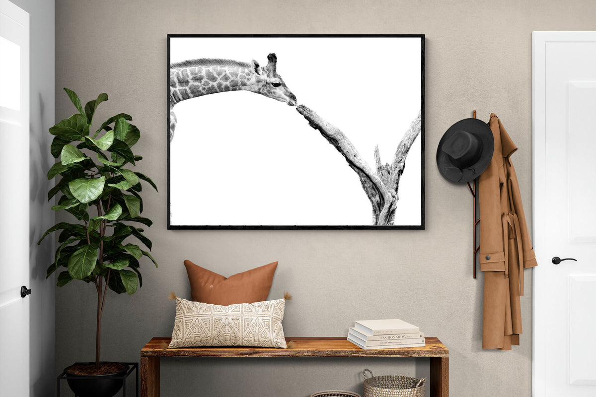 Pixalot ® Giraffe Study