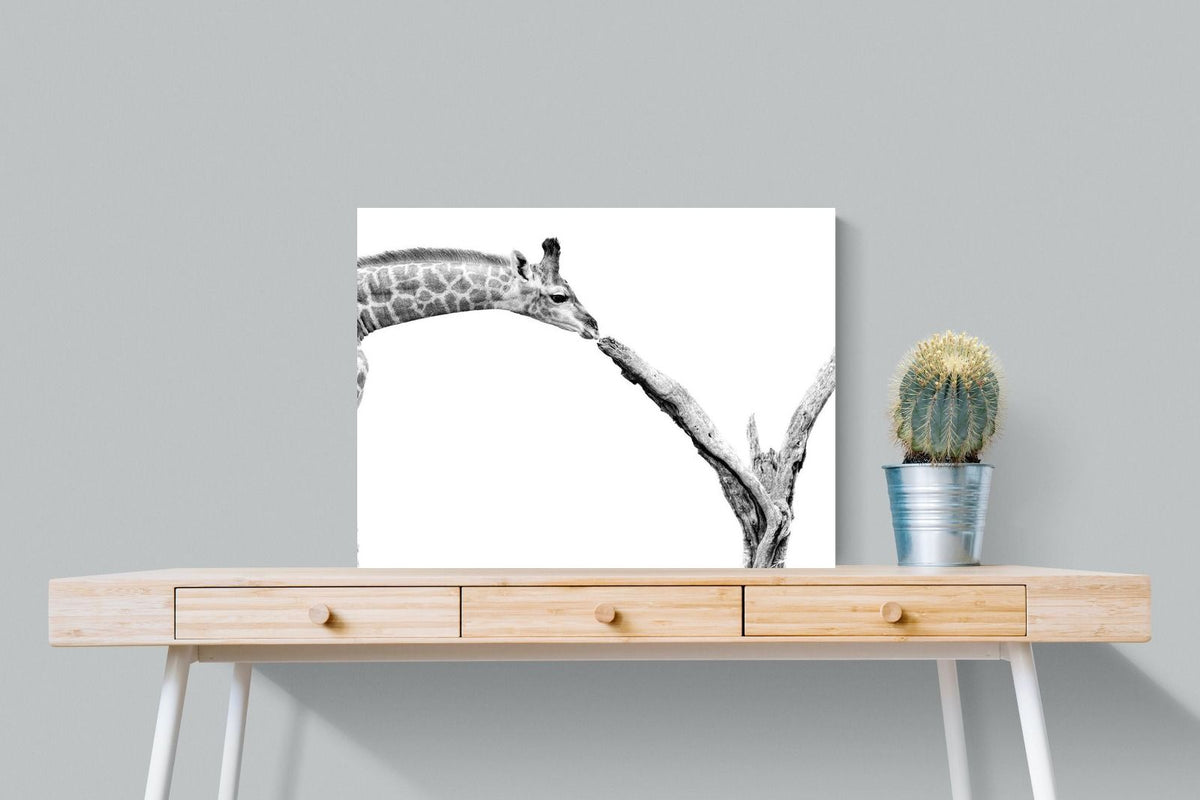 Pixalot ® Giraffe Study