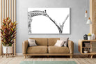 Pixalot ® Giraffe Study