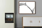 Pixalot ® Giraffe Study