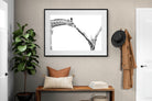 Pixalot ® Giraffe Study